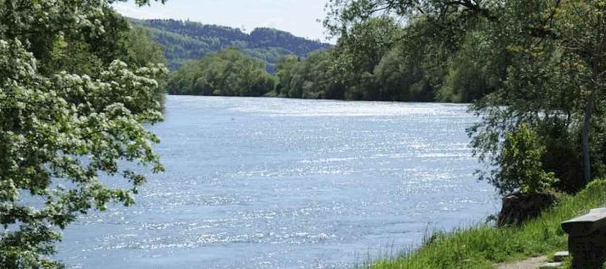 orpund_weiher.1248x555.jpg